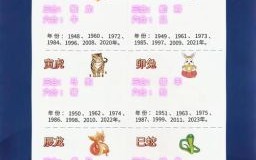 美生肖是什么？美肖有几个生肖