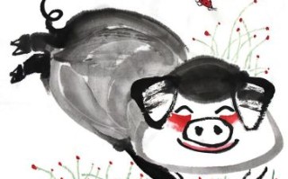 大肚指的是什么生肖？大肚婆打一准确生肖