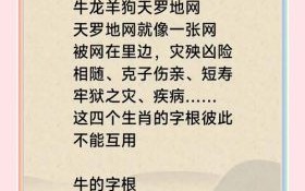 根是什么生肖？根打一个准确生肖