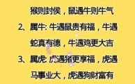 家中有宝一定发是什么生肖？家中有宝打正确一肖