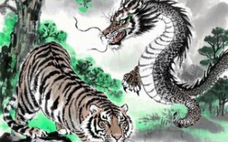 龙虎相斗是什么生肖？龙虎相斗准确打一肖