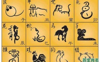 观是什么生肖？观代表哪三大生肖