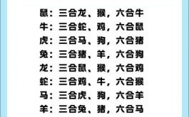 四合肖是什么生肖？三合生肖是哪几个生肖