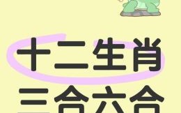 三二二一是什么生肖？二二三三在其中什么生肖