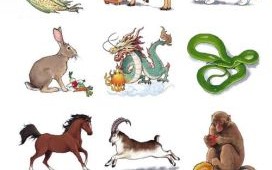 贪吃是什么生肖？十二生肖最贪婪的动物