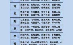 带一的生肖是什么生肖？一个代表什么生肖