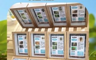 框子是什么生肖？框子打一准确动物