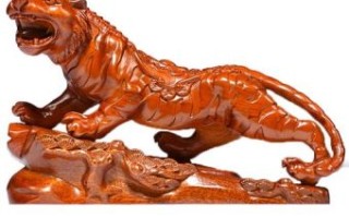 松树是什么生肖？松树打一动物最佳答案