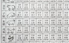 庚午日是什么生肖？庚午日最旺生肖