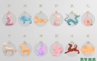 奇观是什么生肖？相机而行是什么生肖