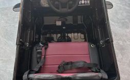 奔驰万里是什么生肖？奔驰指什么生肖