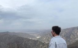 捱是什么生肖？捱字打一准确生肖