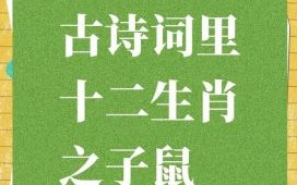 岁月峥崂逢是什么生肖？岁月峥崂逢子鼠的意思