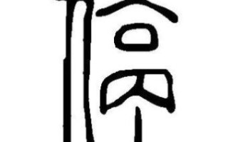 停字是什么生肖？停字解一生肖