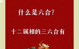 合双成对是什么生肖？双合是哪个生肖