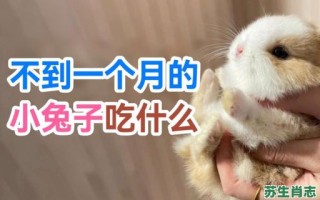 一日吃二餐是什么生肖？什么动物一天吃两餐