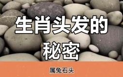 是假发是什么生肖？秃是什么生肖?