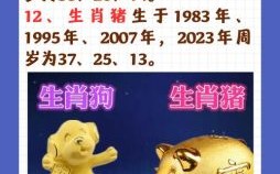 12生肖是什么年？牛年属什么生肖是哪年