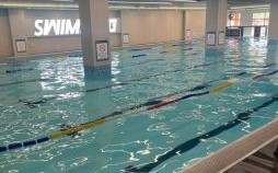 游泳健身是什么生肖？爱游泳的三大生肖