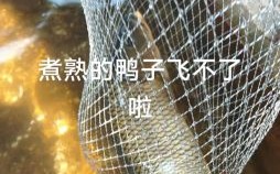 二流子是什么生肖？女生叫二流子是暗示啥