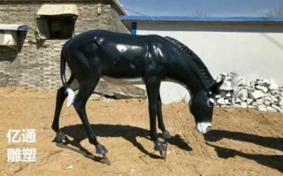 头顶风云一身酸是什么生肖？头顶风云一身酸正确答案