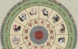 28属相是什么生肖？十二生肖有什么