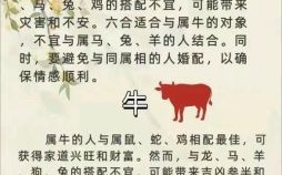 长耳短尾是什么生肖？长耳短尾打一正确生肖