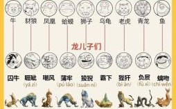 龙飞九天是什么生肖？飞龙九天最佳答案一肖