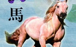 无限是什么生肖？无限风光解一肖