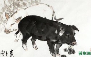 憨厚老实是什么生肖？憨厚老实最正确动物