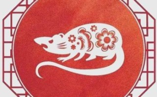 危险是什么生肖？险字最正确的生肖