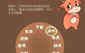 从长计议是什么生肖？从长计议代表什么