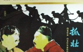 壮丁是什么生肖？壮丁打一生肖最佳答案