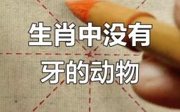 无牙的动物是什么生肖？无牙打一准确生肖