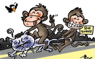 猴子救月是什么生肖？猴子救月最正确一肖