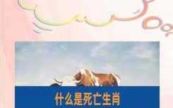 大肖是什么生肖？大肖正确6个生肖