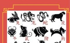 子打一生肖是什么？子是代表什么生肖