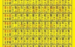 身穿彩衣是什么生肖？身着彩衣打一准确生肖