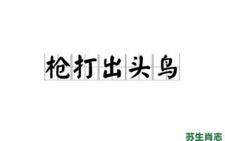 枪打出头鸟是什么生肖？出头鸟一般比喻哪种人