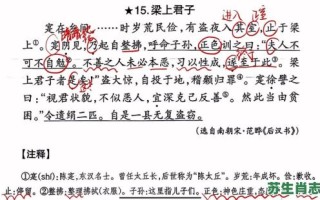 粱上君子是什么生肖？梁上君子打一准确动物