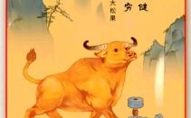 凌云是什么生肖？凌云壮志打一最佳生肖