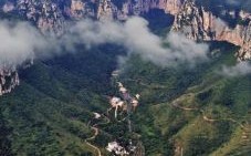 五指山上人中人是什么生肖？五指山上人中人正确答案