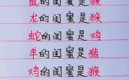 谊是什么生肖？代表友谊的生肖是哪个生肖