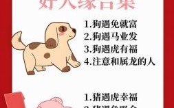 看家守门是什么生肖？看家守院的生肖