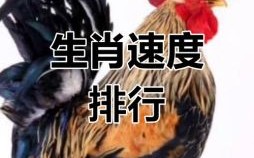 暴跳如雷是什么生肖？暴跳如雷猜动物