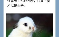 刘备的动物是什么生肖？刘备正确最佳生肖是什么