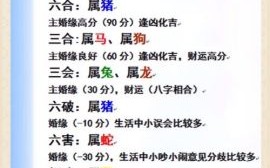 凶恶的是什么生肖？凶恶的生肖最佳答案