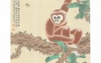 花鸟是什么生肖？妖代表什么生肖