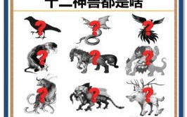 乌飞兔走是什么生肖？乌飞兔走打一数字