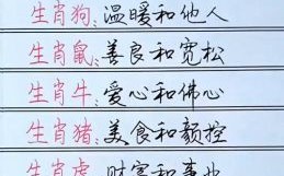 写文章的生肖是什么？写手打一生肖